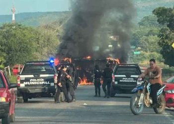 Grupos criminales se adueñan de los bosques de Michoacán