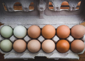 En qué se diferencian los huevos blancos y los marrones