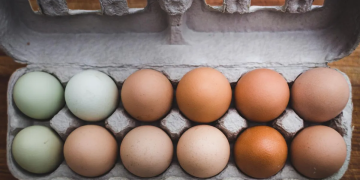 En qué se diferencian los huevos blancos y los marrones