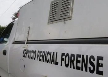 Investigan hallazgo de 5 cuerpos degollados en Veracruz