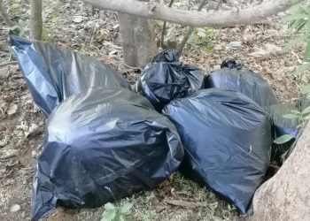 Se encuentran agentes estatales 8 bolsas con 110 kilos de marihuana en Guadalupe y Calvo