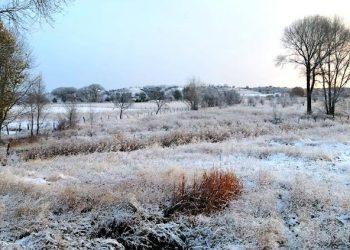 ¡Amanece Guachochi a -6.5! El Vergel a -4 y Majalca se congeló ¡a -11° centígrados!