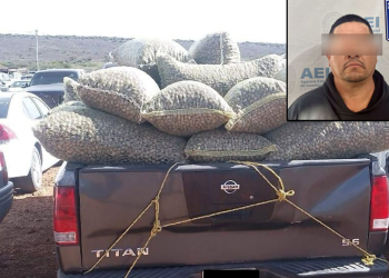 No pudo acreditar la legal procedencia de tonelada y media de nuez que llevaba