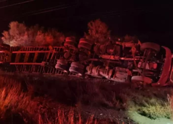 VOLCÓ tráiler cargado de cartón cerca de Jiménez; conductor quedó atrapado en la cabina