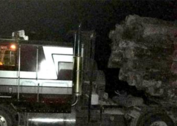 Manejaba un tráiler con 46 piezas de encino en rollo del que no pudo acreditar su legalidad