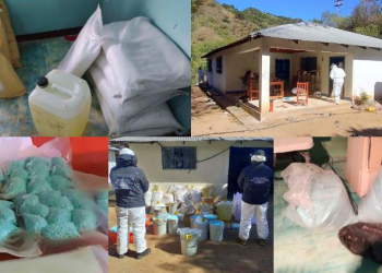 Revienta FGR casa con 129 mil pastillas de fentanilo en Guadalupe y Calvo