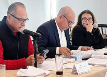 Diputados dejan fuera a los mejores perfiles para el ICHITAIP