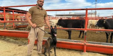 Entrena Desarrollo Rural a médicos veterinarios con binomios caninos especializados en la detección de GBG