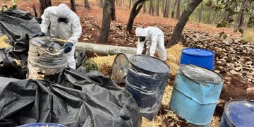 Ejército asegura y destruye precursores químicos para elaboración de droga en Morelos
