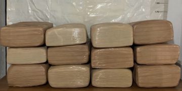Aseguran 120 kilos de marịguana en brecha de Uruachi