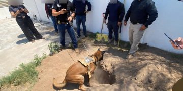 Catean casa y encuentran cuerpo enterrado en el patio dentro de dos bolsas para basura