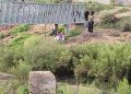 También la mujer que se colgó de un puente tenía 24 años
