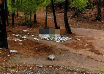 Encuentran dos ejecutados en la carretera a Guadalupe y Calvo