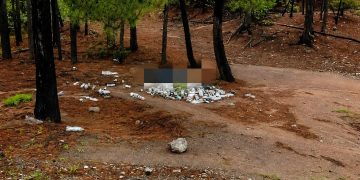 Encuentran dos ejecutados en la carretera a Guadalupe y Calvo