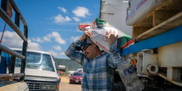 Gestión de Chava Calderón fortalece al campo con entrega de semilla a productores