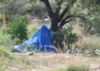 Hallan sin vida a joven colgado de un árbol en la colonia Palmilla