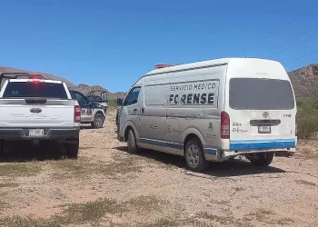 Encuentran cuerpo con amputaciones y desgarros en carretera a El Vergel